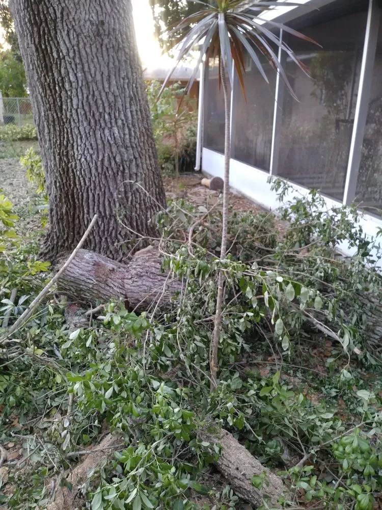 Local lawn mowing service in Fort Pierce, FL - Tree Trimmers USA