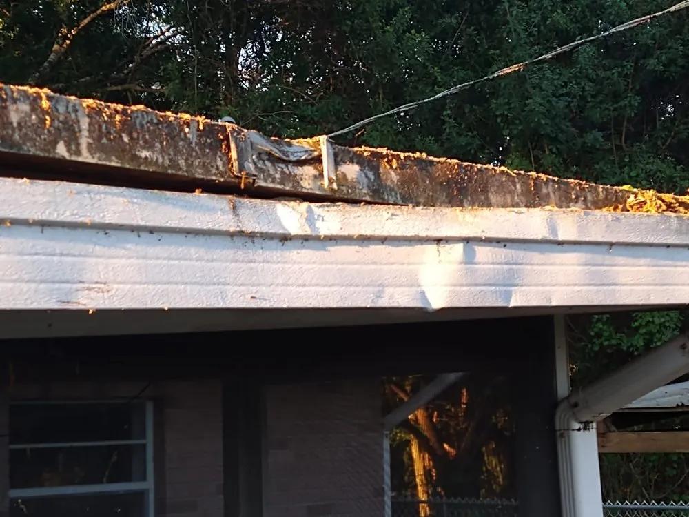 Expert landscape design in Fort Pierce, FL - Tree Trimmers USA