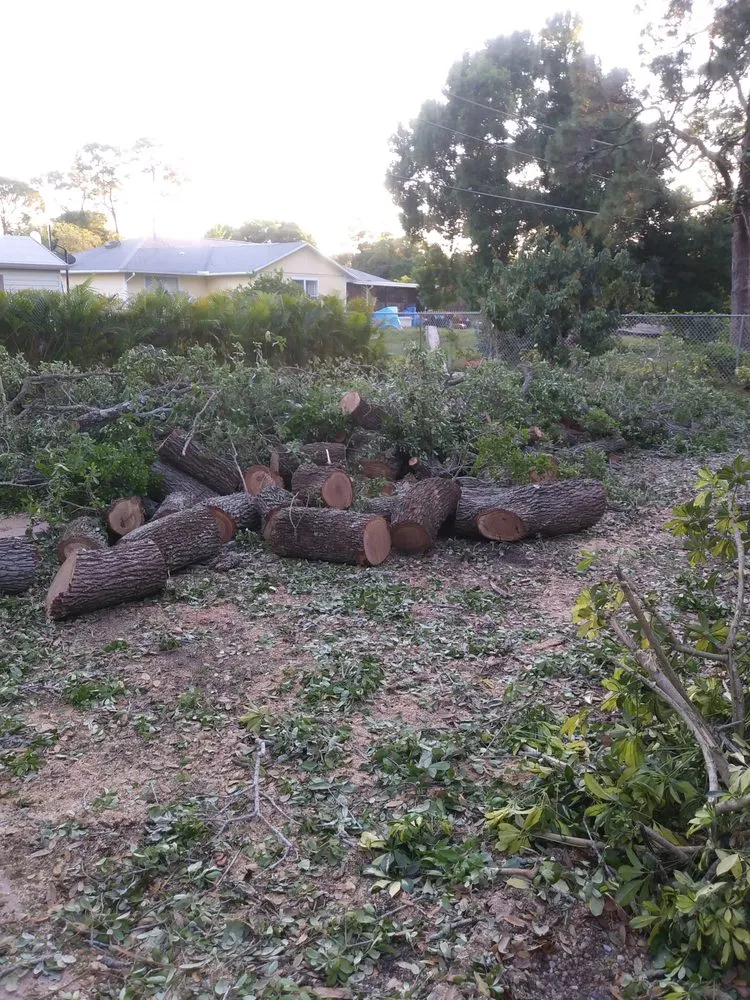 Reliable outdoor landscaping with custom design in Fort Pierce, FL by Tree Trimmers USA