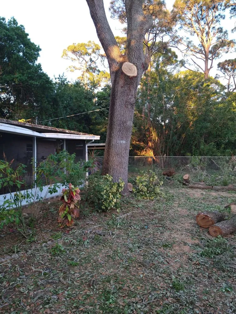 Professional landscape design for outdoor upgrades in Fort Pierce, FL by Tree Trimmers USA