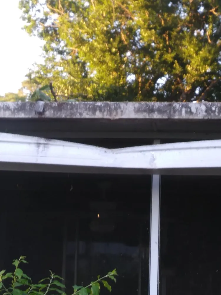 Professional landscape installation in Fort Pierce, FL - Tree Trimmers USA