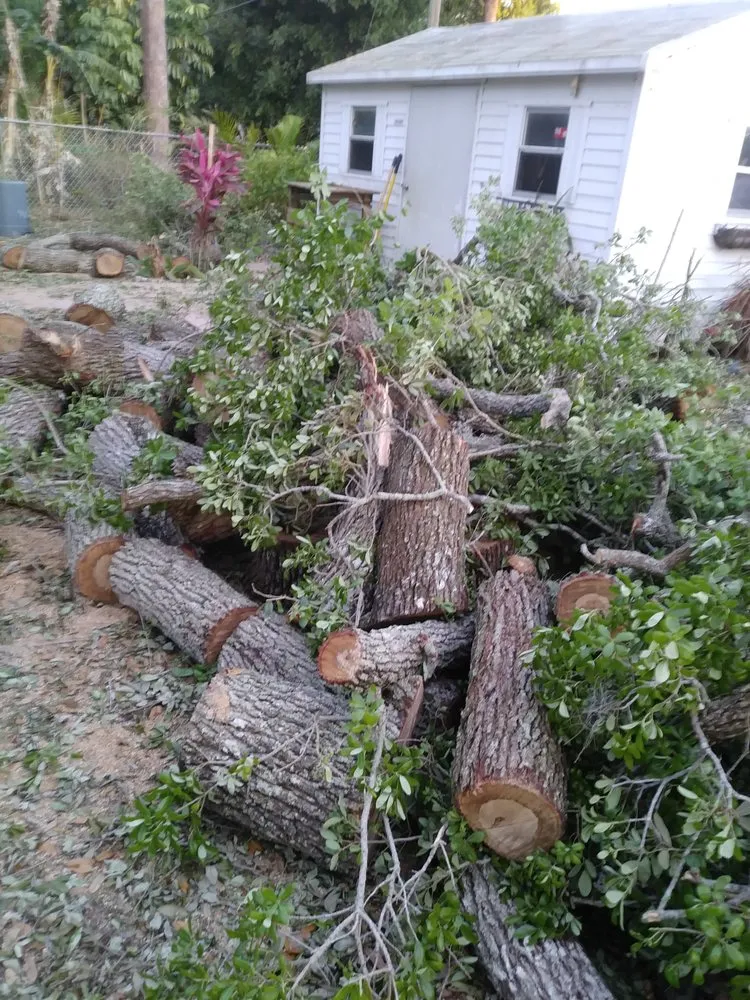 Expert landscaping services experts serving Fort Pierce, FL - Tree Trimmers USA