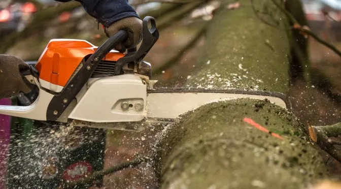 Custom outdoor landscaping near you in Fort Pierce, FL by Tree Trimmers USA