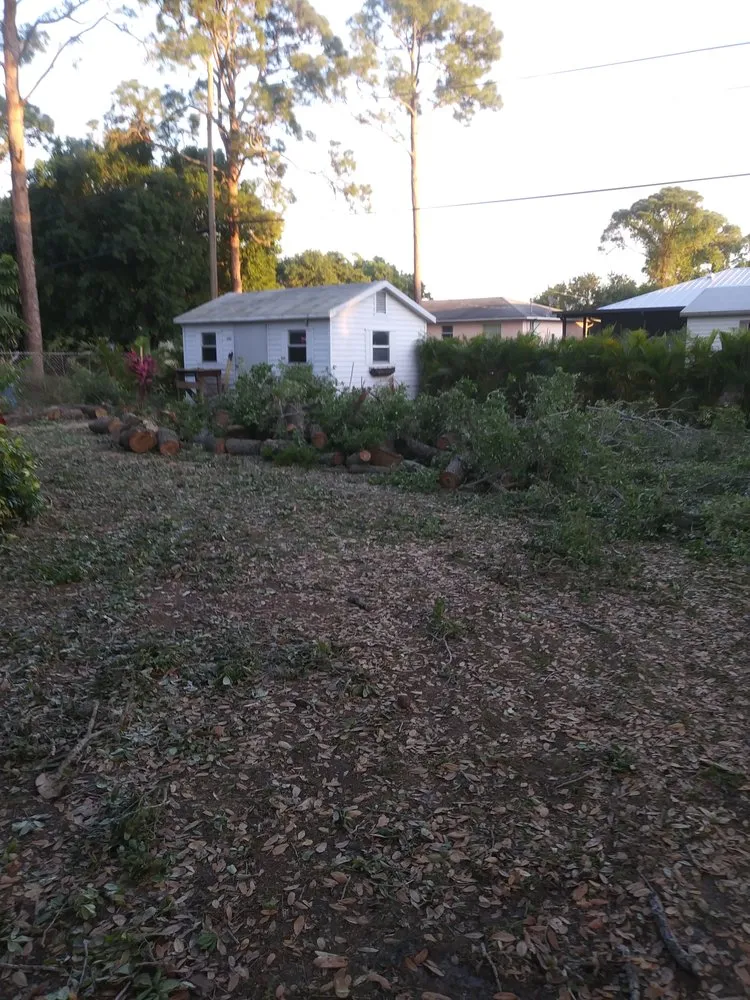 Trusted yard cleanup service in Fort Pierce, FL - Tree Trimmers USA
