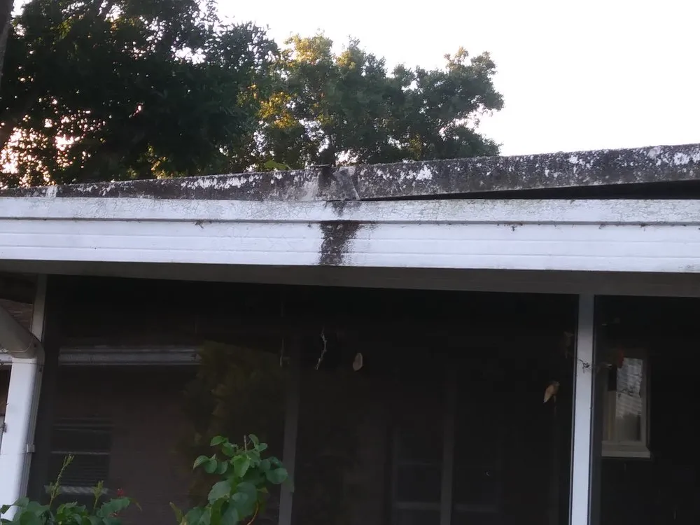 Top-rated lawn mowing service in Fort Pierce, FL by Tree Trimmers USA