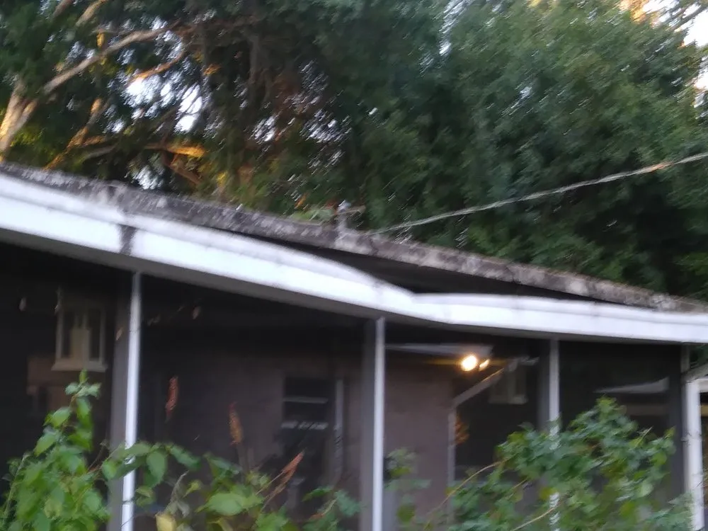 Expert yard cleanup service for homes in Fort Pierce, FL by Tree Trimmers USA