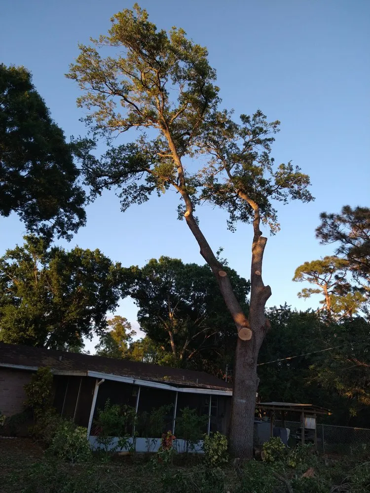 Trusted landscape design for year-round maintenance in Fort Pierce, FL by Tree Trimmers USA