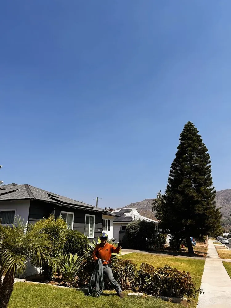 Expert landscape installation experts serving Sylmar, CA - Tree Trimming 4 Less