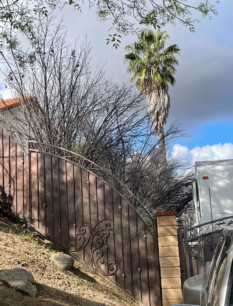 Affordable landscape design experts serving Sylmar, CA - Tree Trimming 4 Less