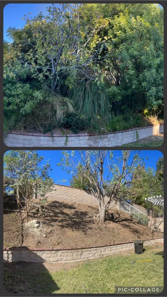 Affordable outdoor landscaping with custom design across Sylmar, CA - Tree Trimming 4 Less
