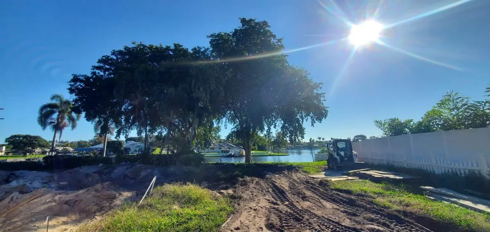 Custom yard cleanup service in Boca Raton, FL by Tree Trimming