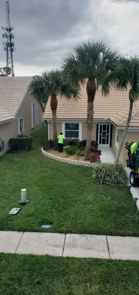Local yard maintenance in Boca Raton, FL - Tree Trimming