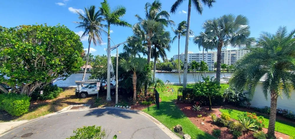 Top-rated residential landscaping experts serving Boca Raton, FL - Tree Trimming