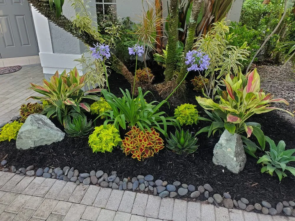 Expert garden landscaping for outdoor upgrades across Boca Raton, FL - Tree Trimming