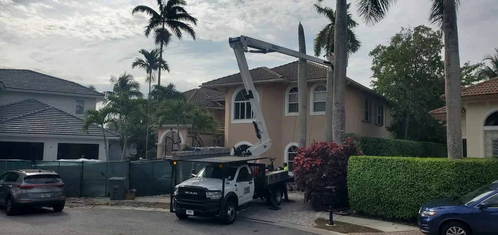 Local yard maintenance in Boca Raton, FL by Tree Trimming