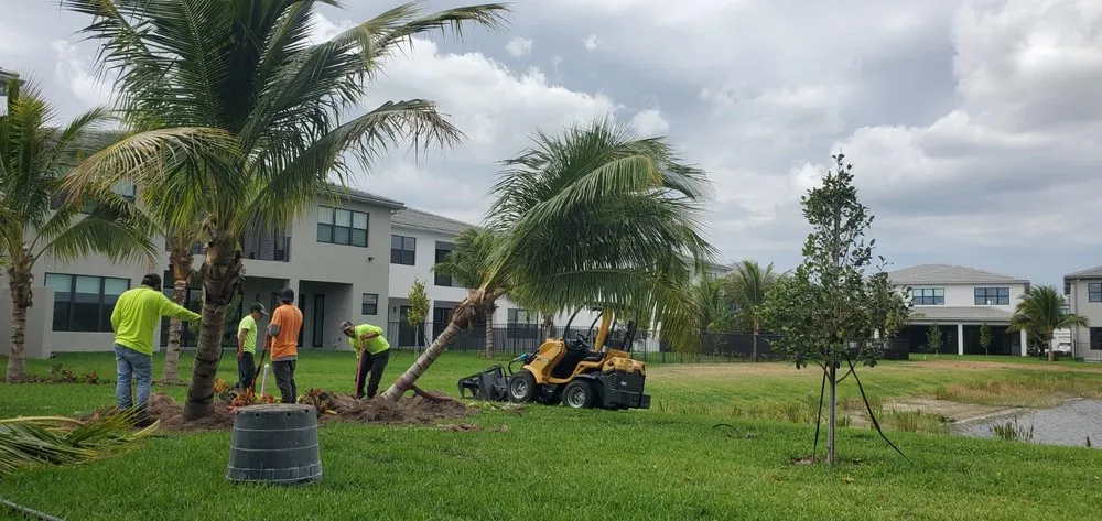 Professional outdoor landscaping experts serving Boca Raton, FL - Tree Trimming