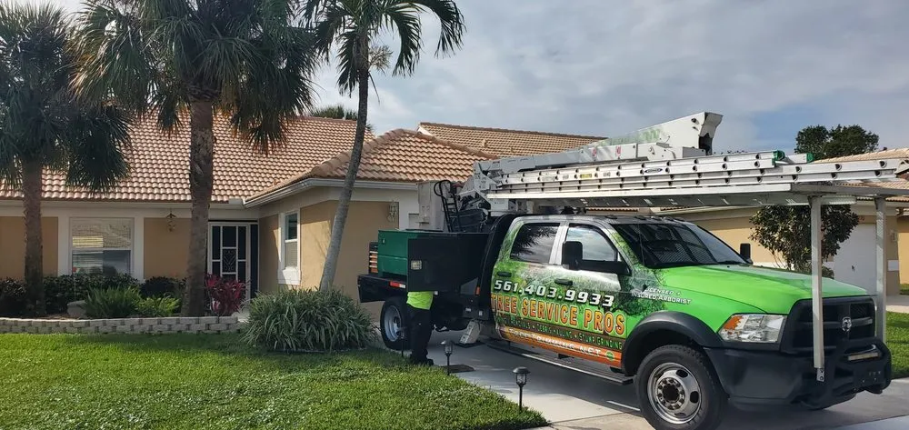Professional lawn care service for outdoor upgrades in Boca Raton, FL by Tree Trimming