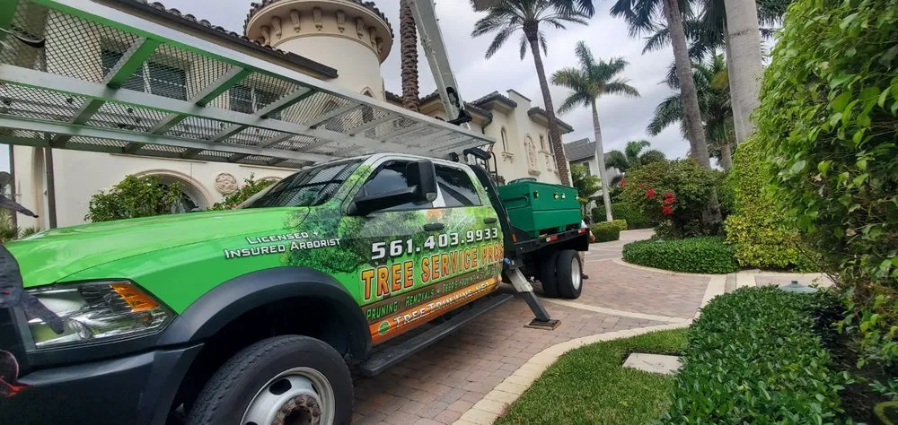 Expert garden landscaping experts serving Boca Raton, FL - Tree Trimming