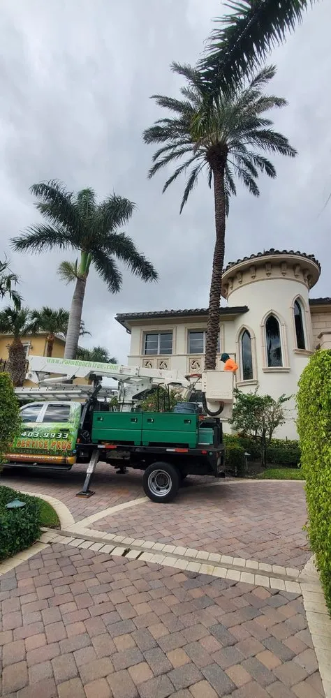 Professional lawn mowing service in Boca Raton, FL - Tree Trimming