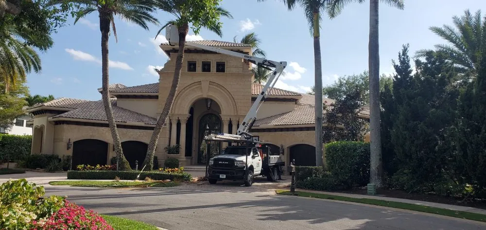 Affordable lawn mowing service for beautiful yards in Boca Raton, FL by Tree Trimming