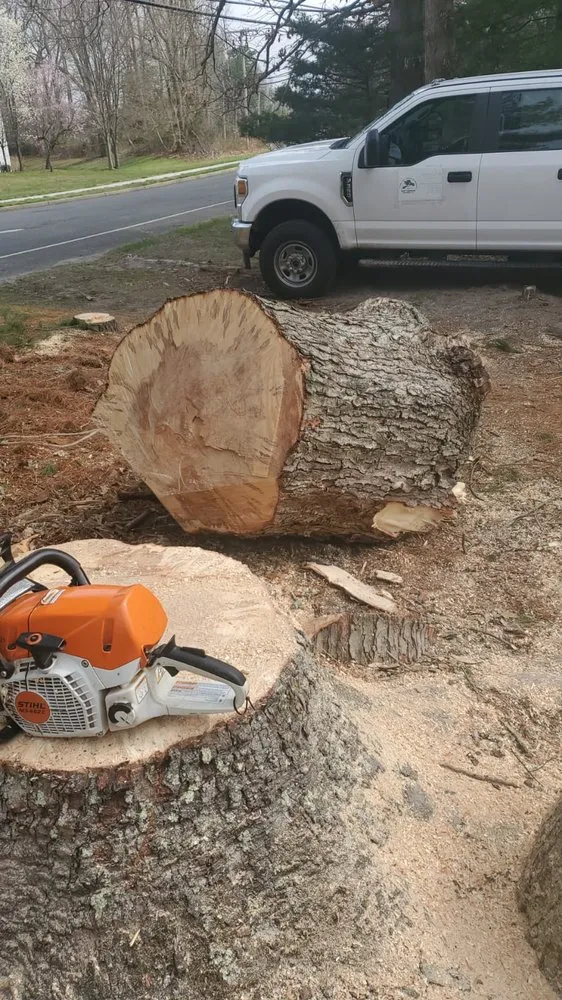 Professional residential landscaping experts serving Freehold, NJ - Tree Trimming Solutions