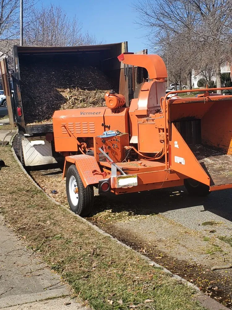 Local lawn care service in Freehold, NJ by Tree Trimming Solutions