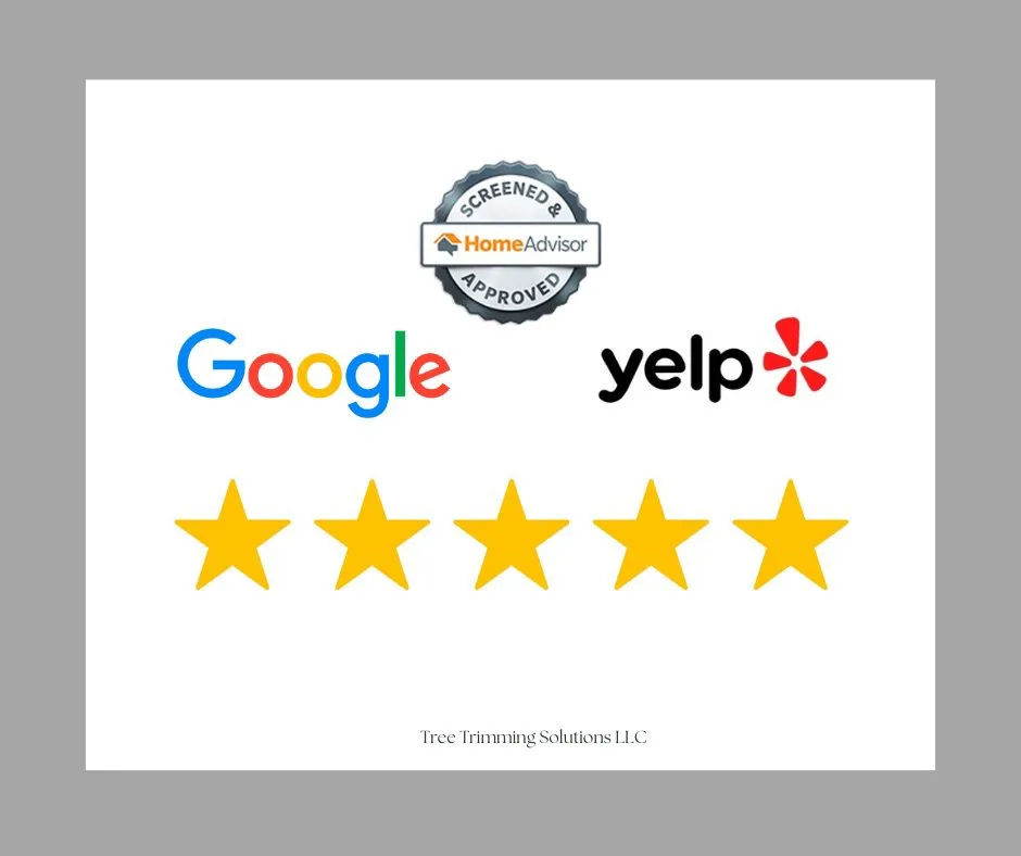 Affordable lawn mowing service in Freehold, NJ - Tree Trimming Solutions