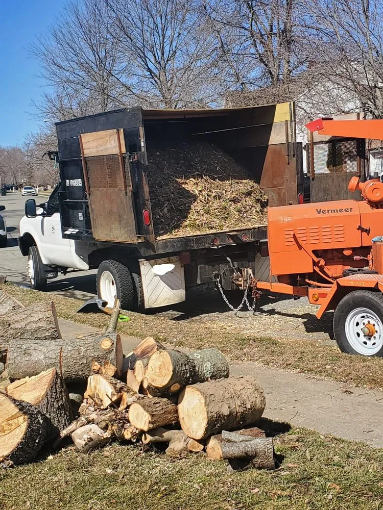 Trusted lawn mowing service experts serving Freehold, NJ - Tree Trimming Solutions