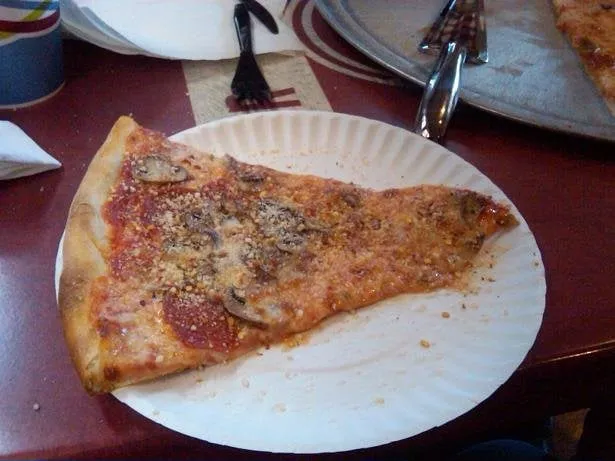 Professional lawn care service near you in Freehold, NJ by Tree Trimming Solutions