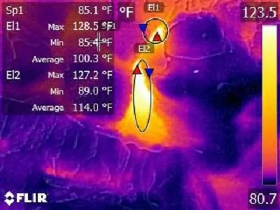 Professional lawn mowing service in Port Saint Lucie, FL by Tree Tropical