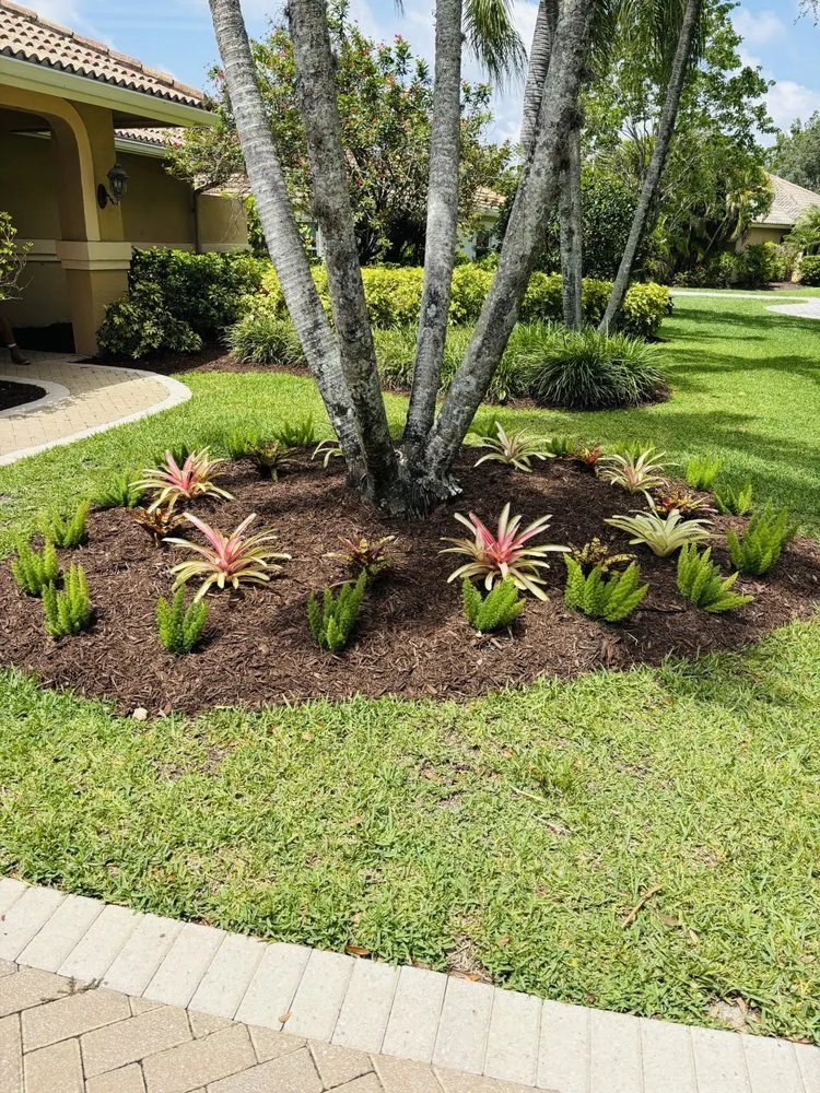 Top-rated outdoor landscaping with custom design across Naples, FL - Tree Trunk Landscapes