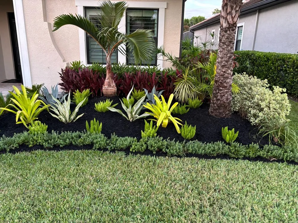 Expert landscape design for outdoor upgrades in Naples, FL by Tree Trunk Landscapes