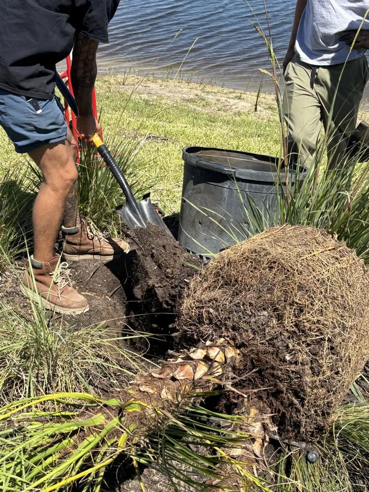 Custom lawn care service in Naples, FL - Tree Trunk Landscapes