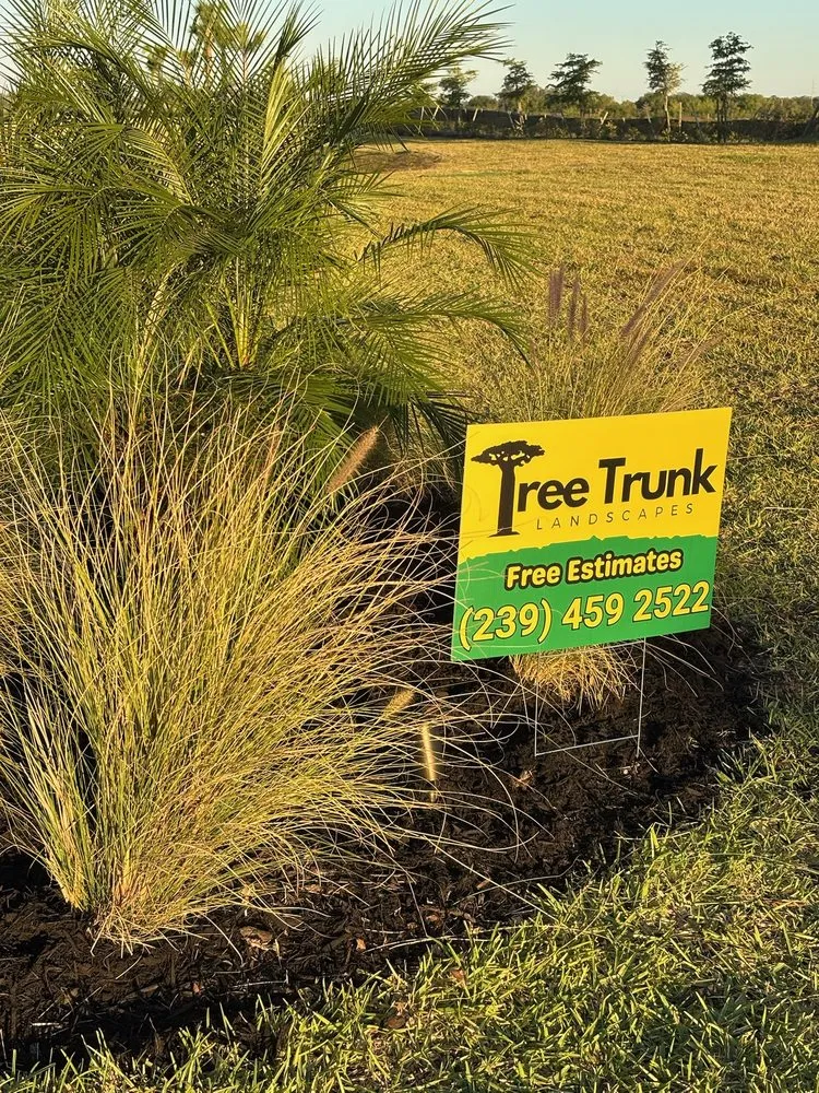 Reliable landscape design experts serving Naples, FL - Tree Trunk Landscapes