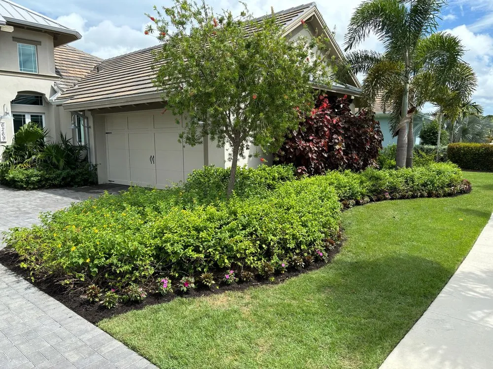 Top-rated landscape installation for homes across Naples, FL - Tree Trunk Landscapes