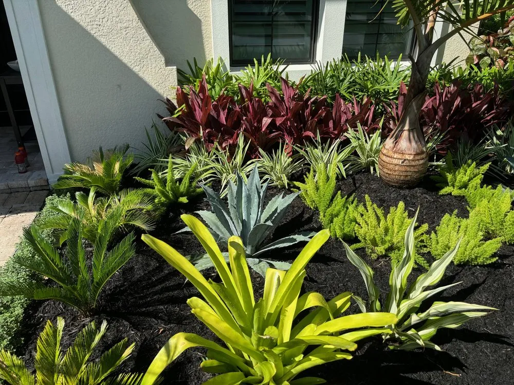 Reliable landscape installation experts serving Naples, FL - Tree Trunk Landscapes