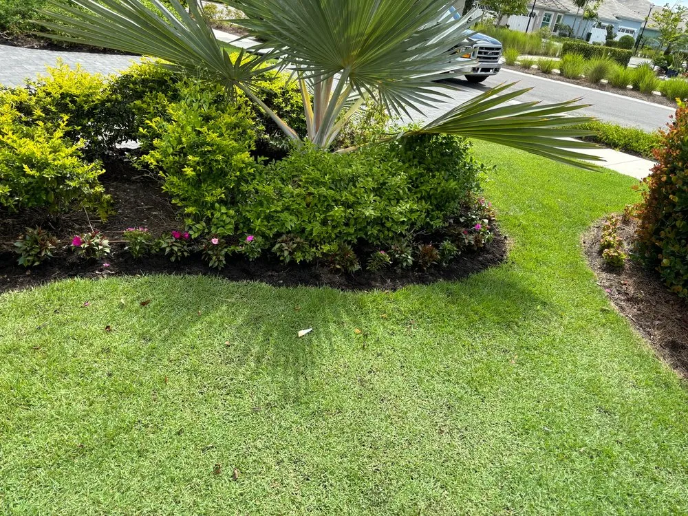 Trusted lawn care service for residential properties in Naples, FL by Tree Trunk Landscapes