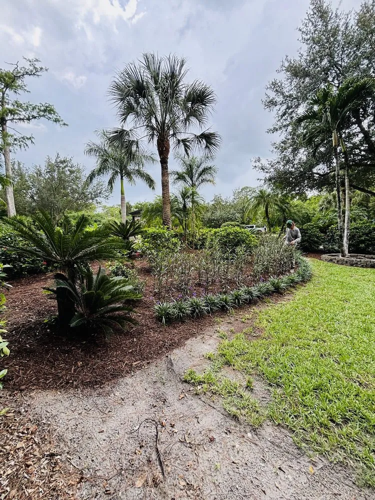 Reliable landscaping services near you across Naples, FL - Tree Trunk Landscapes