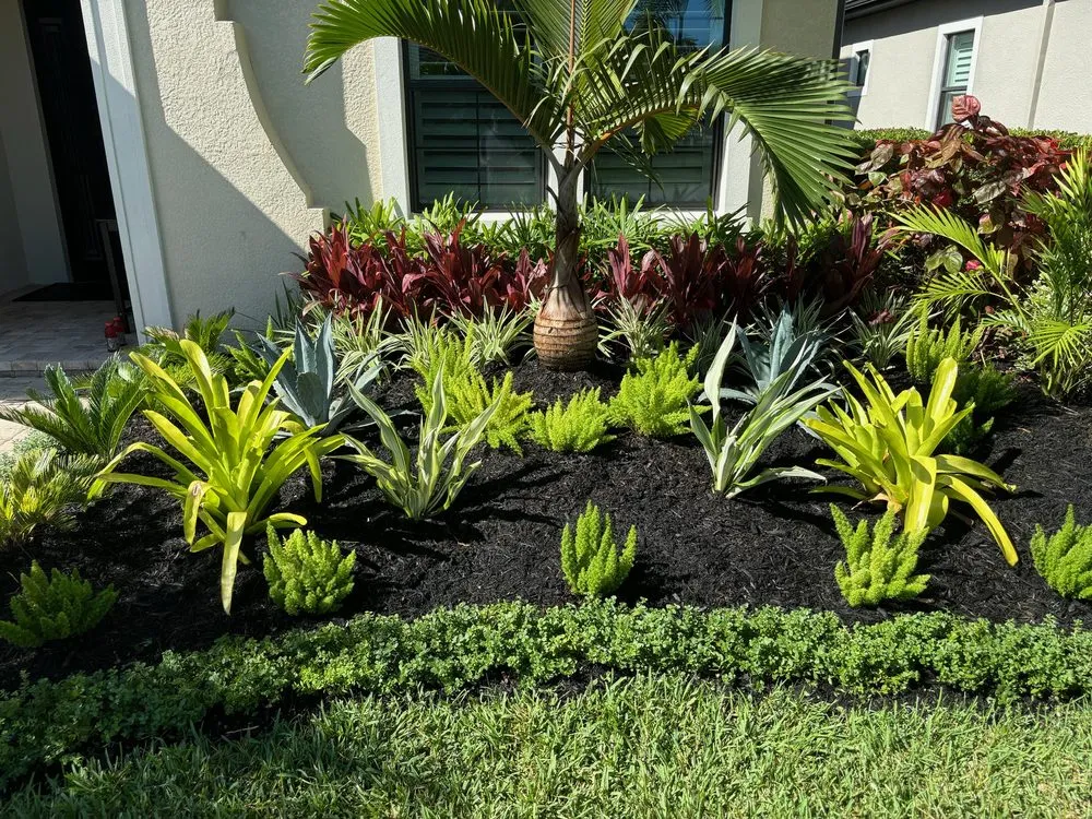 Trusted yard maintenance in Naples, FL - Tree Trunk Landscapes