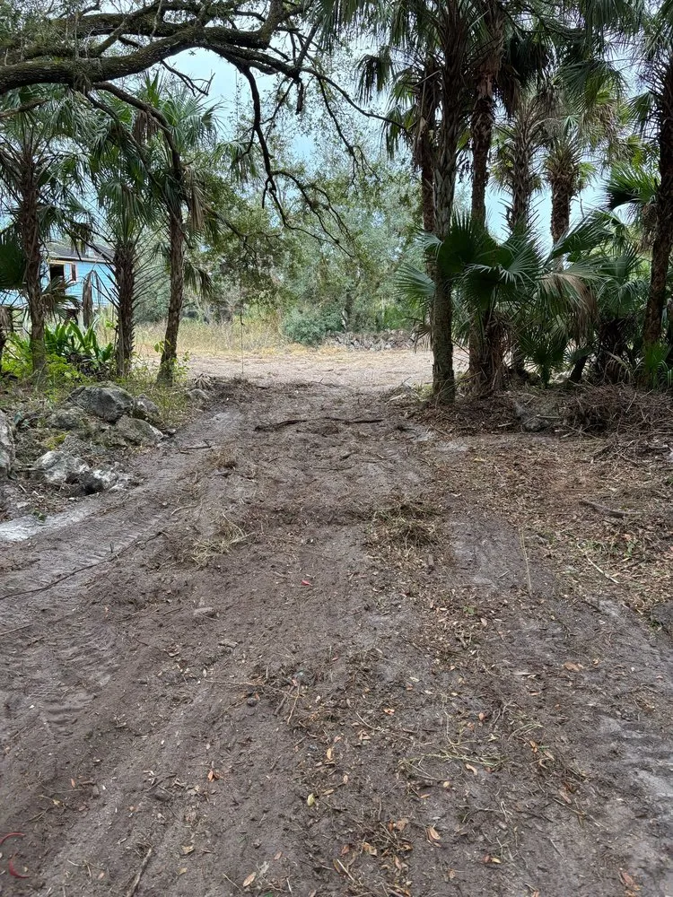 Local garden landscaping experts serving Naples, FL - Tree Trunk Landscapes