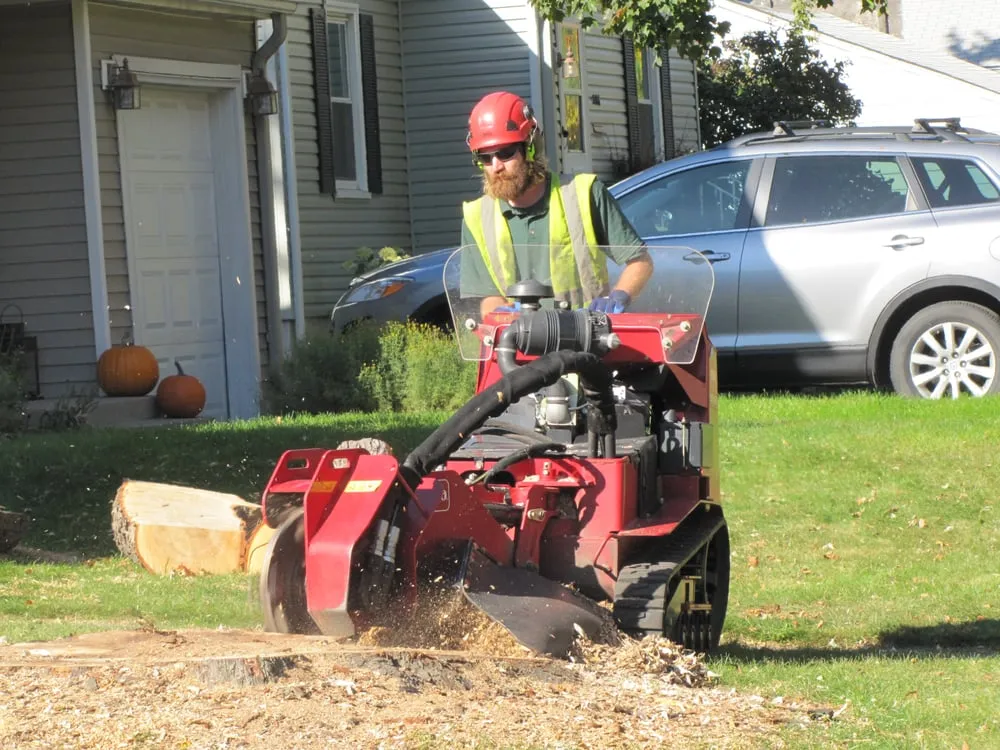 Reliable lawn mowing service for outdoor upgrades across Saint Paul, MN - Tree Trust