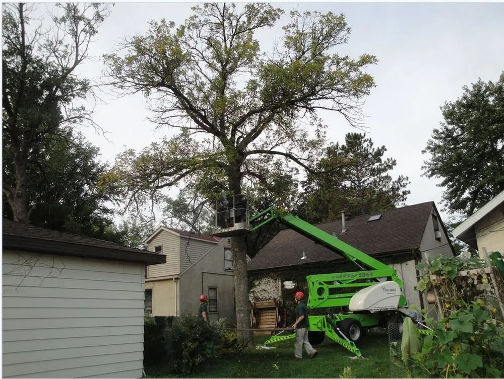 Affordable lawn mowing service in Saint Paul, MN - Tree Trust