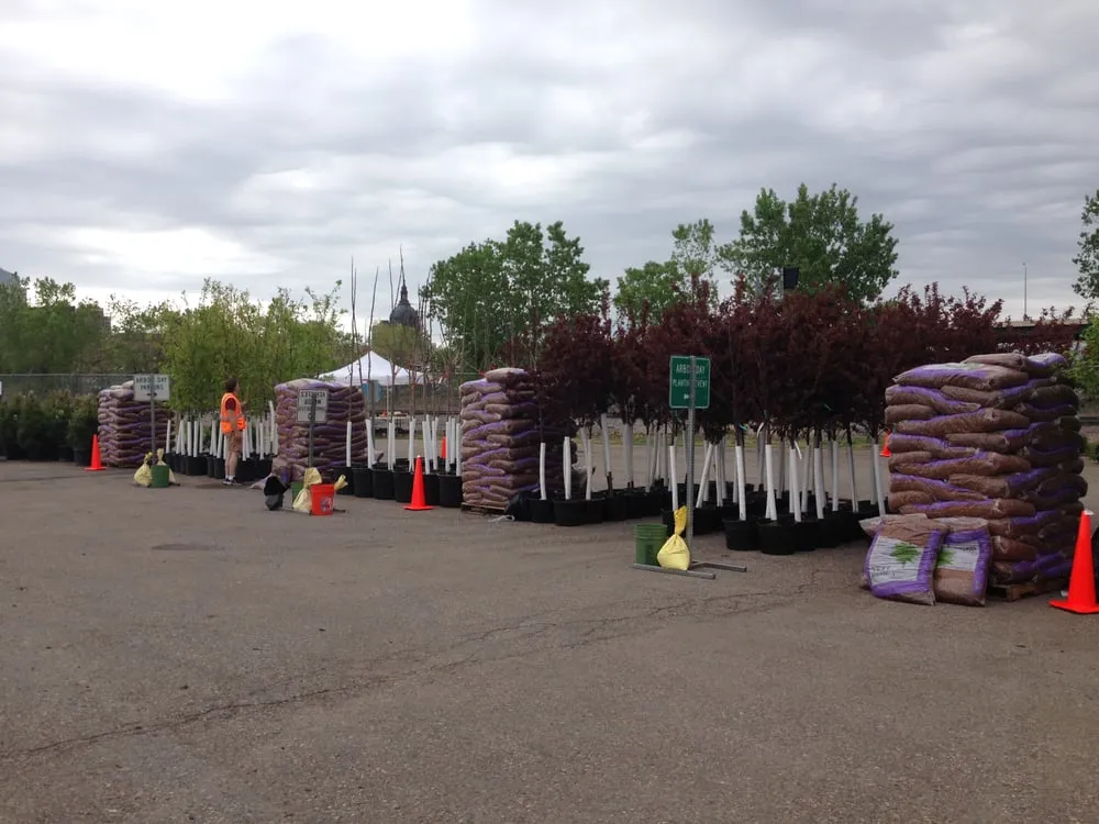 Reliable garden landscaping in Saint Paul, MN by Tree Trust