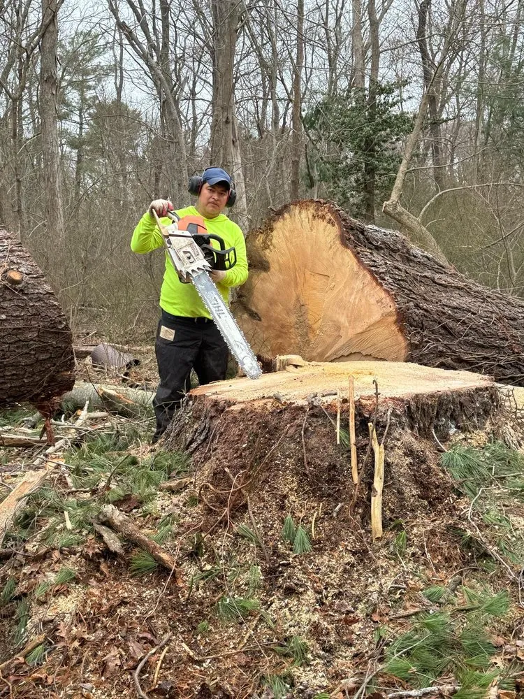 Reliable garden landscaping for residential properties across Brockton, MA - Tree Veliz landscaping