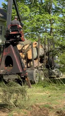 Tree Veliz landscaping Logo