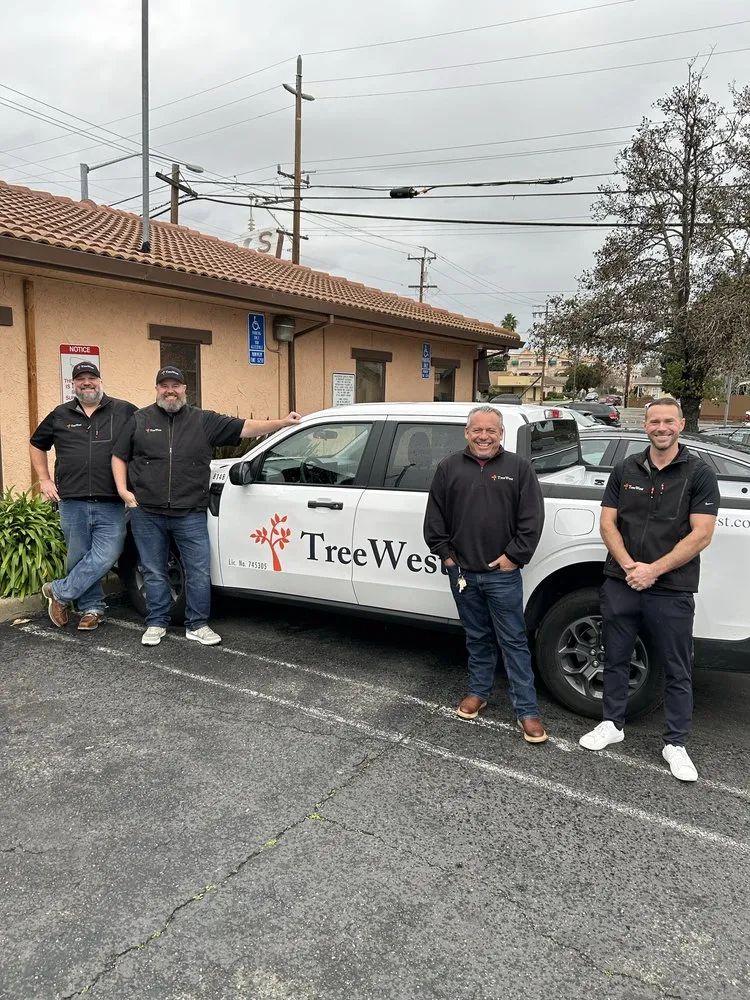 Affordable yard maintenance in Antioch, CA by Tree West