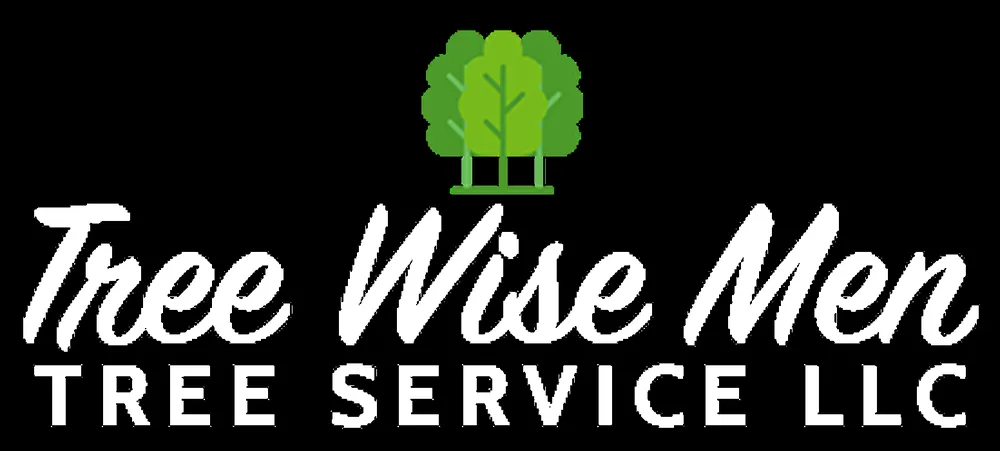 Affordable landscaping services for homes across Elizabeth, NJ - Tree Wise Men