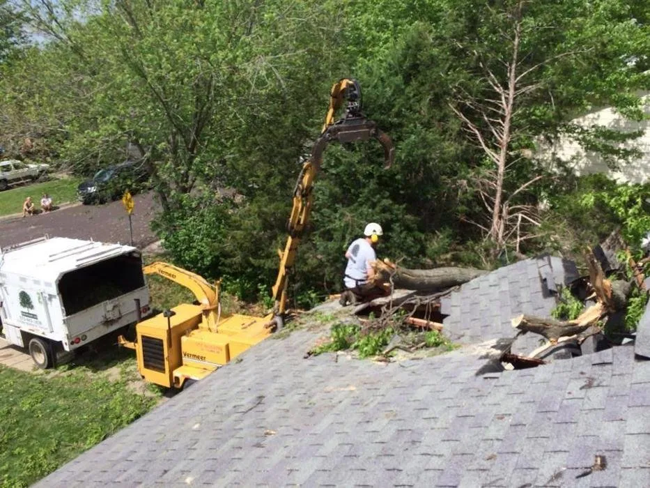 Local garden landscaping experts serving Columbia, MO - Tree Wizard