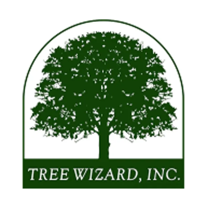 Affordable landscaping services in Columbia, MO - Tree Wizard