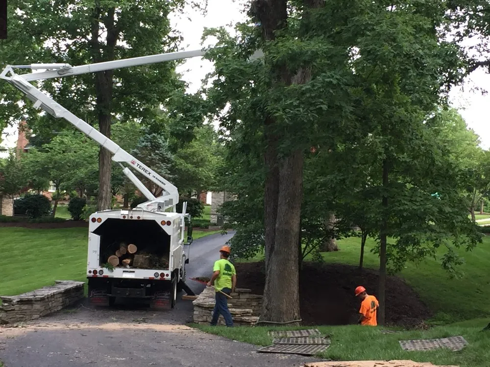 Top-rated garden landscaping experts serving Columbia, MO - Tree Wizard